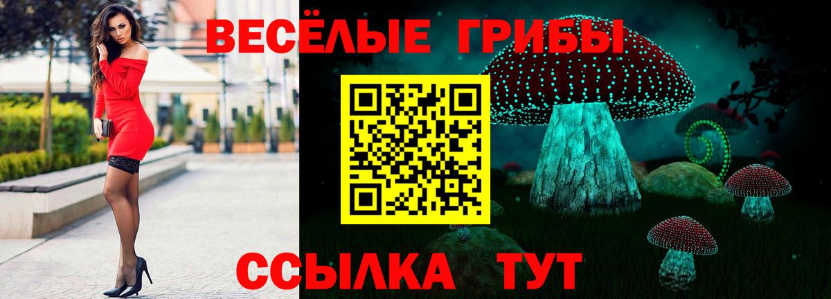 Псилоцибиновые грибы GOLDEN TEACHER Зеленокумск